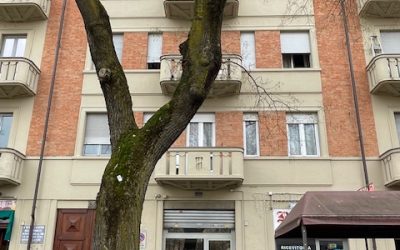 Torino – Borgo Filadelfia – Locale Commerciale – P.zza Galimberti – € 250 mensili